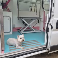Kerrell's Mobile Dog Grooming