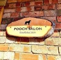 Pooch salon