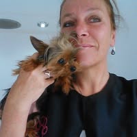 Mel's Mutz Dog Grooming
