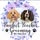 Pawfect Pooches Grooming By Nicole