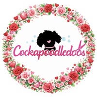 Cockapoodledoos