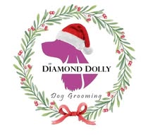 Diamond dolly dog grooming