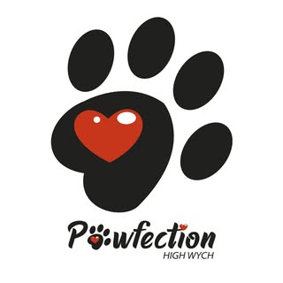 Pawfection High Wych