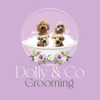 Dolly & Co Grooming, Hockley
