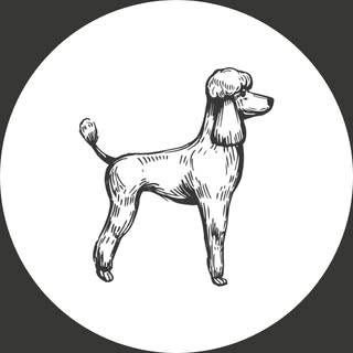 Doggie & Gabana