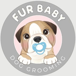 Fur Baby Dog Grooming & Walking