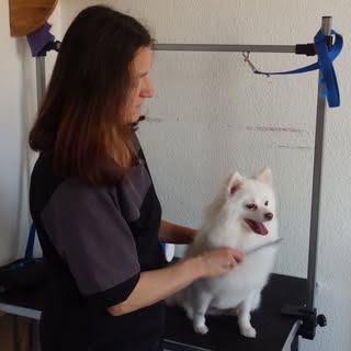 Beastie Besties Dog Grooming