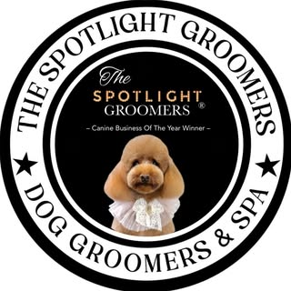 The Spotlight Groomers
