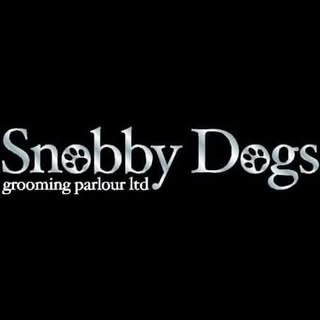 Snobby Dogs Ashton