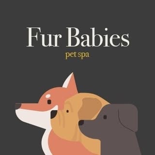 Fur Babies Pet Spa