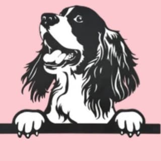 RJ’s Dog Grooming Blackrod