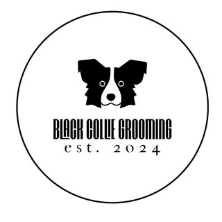 Black Collie Grooming