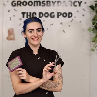 Groomsbydarcy The Dog Pod