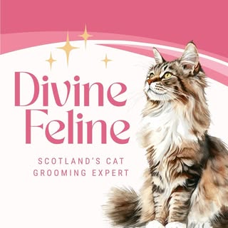 Divine Feline