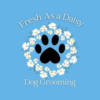 Fresh as a Daisy Dog Grooming