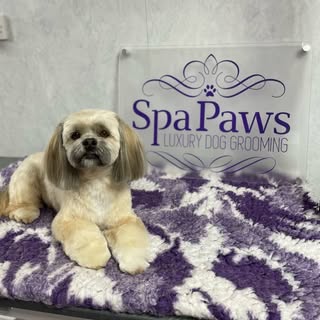 SpaPaws