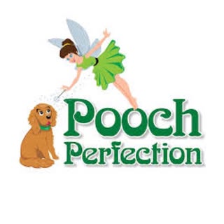 Pooch Perfection