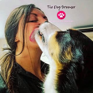 The Dog groomer