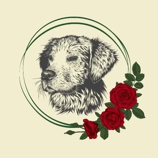 Beauty and the Beast Luxury Dog Grooming