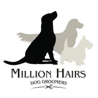 Million Hairs Dog Grooming