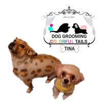 Dog & Cat grooming colorful tails Tina