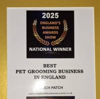 The Pooch Patch