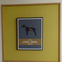 Saltwell Bark Dog Groomers