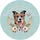 Pawsitively Pampered Dog Grooming