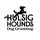 Hulsig Hounds