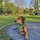 Crawley Dog Grooming Salon & Secure Walking Fields