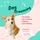 Witney dog boarding and grooming