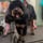 Bubble Hound Dog Grooming