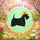 Bespoke Dog Grooming & Therapy