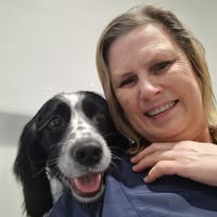 LKH Dog Grooming and Holistic Care