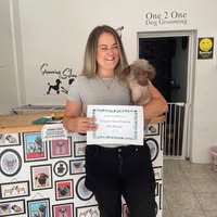 Bassetts Hounds Dog grooming