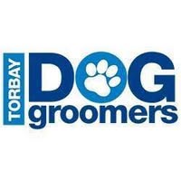 Torbay Dog Groomers