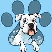 Wesley's Wash & Wag