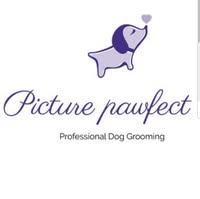 Picture Pawfect Professional Dog Grooming