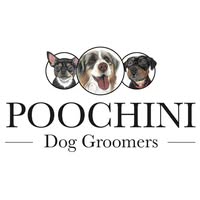 Poochini Dog Groomers