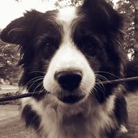 Maritas Animal care