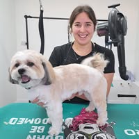 Shaggy to Snazzy Dog Grooming