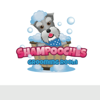 Shampooches Grooming Room
