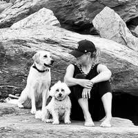 Wagger Mummas Dog Grooming