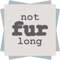 Not Fur Long Dog Grooming