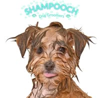 Shampooch Dog Groomers