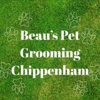 Beau’s pet grooming