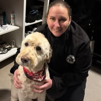 Purdys paws dog grooming