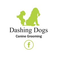 Dashing Dogs Canine Grooming