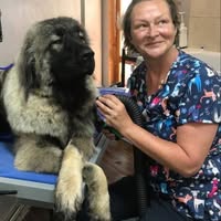 Beautifur Pet Grooming
