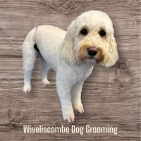 Wiveliscombe Dog Grooming